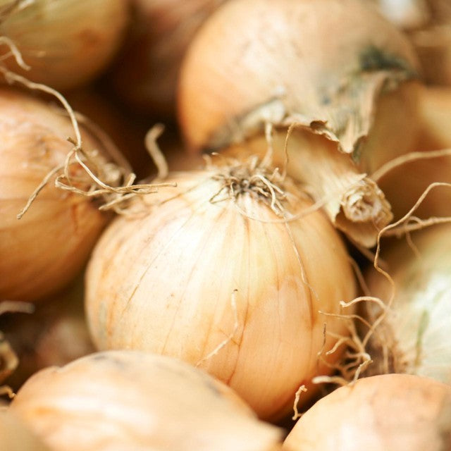 Daylesford Organic Brown Onions 500g - British product