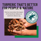 Bart ground turmeric spice 49g - British product