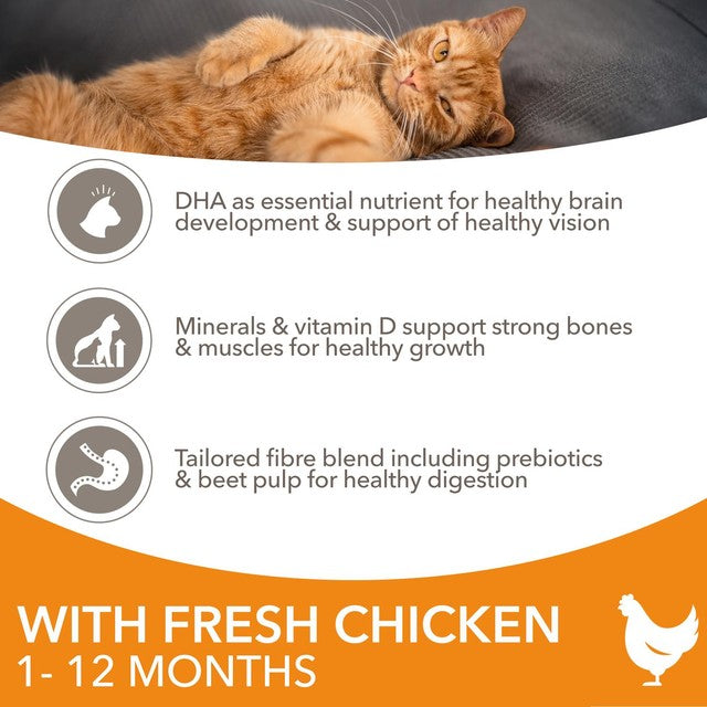 IAMS kitten dry cat food chicken 3kg, UK version
