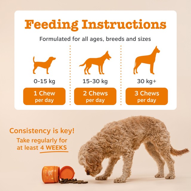 Zesty Paws dog chews probiotic pumpkin flavour - British product