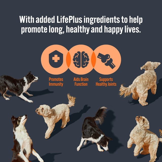 HiLife wet dog food variety pack 32 x 150g, UK version