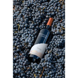 Terrazas de los Andes Organic Malbec red wine 75cl (British brand)