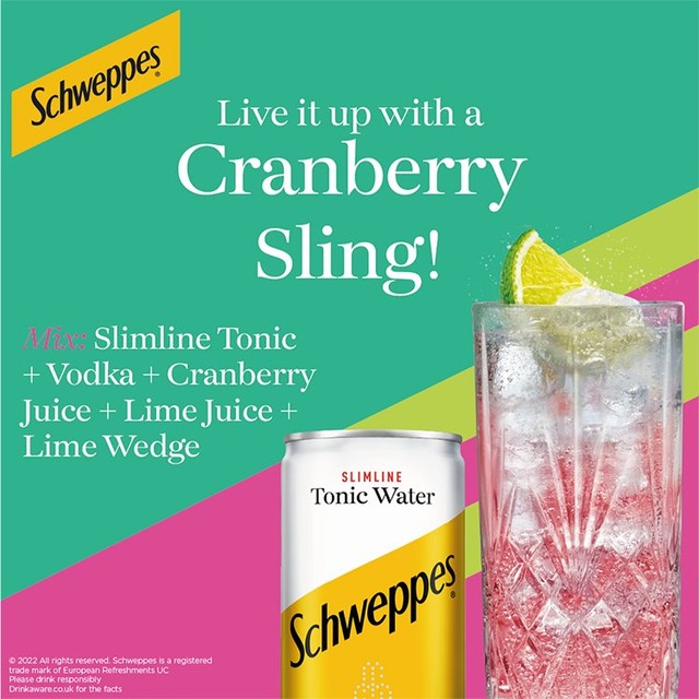 Schweppes Slimline low calorie tonic water can, UK version