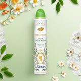Dove Bridgerton Love & Meadows deodorant aerosol (British brand)