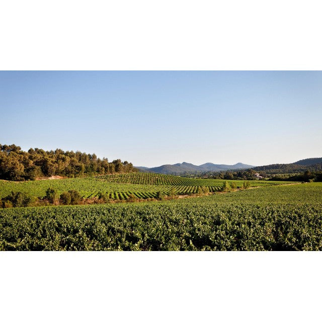 Chateau La Gordonne Organic Provence rosé wine 75cl - British product