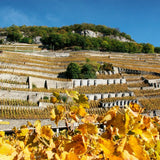 Aigle Les Murailles Chasselas white wine 75cl - British product