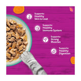 Whiskas wet cat food pouches Catch of the Day 12 x 85g (British brand)
