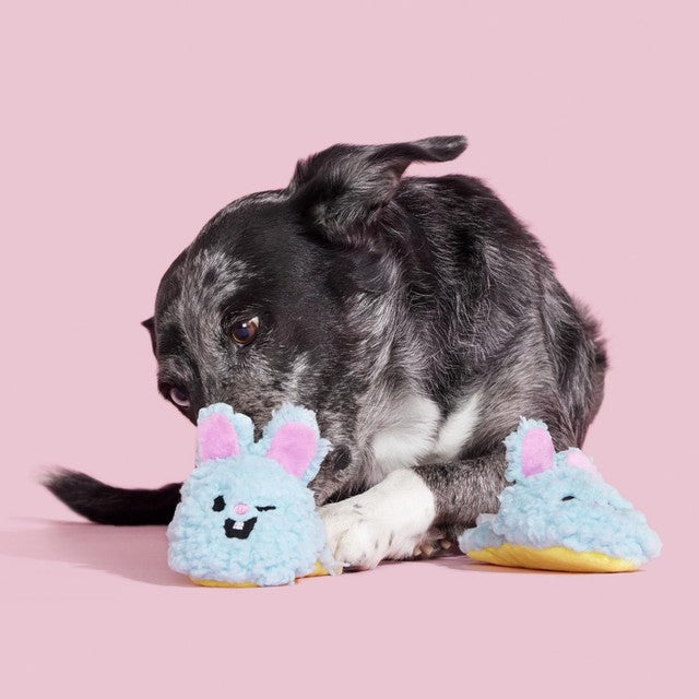 Bark Yippy & Skippy Slippies dog toy - British product