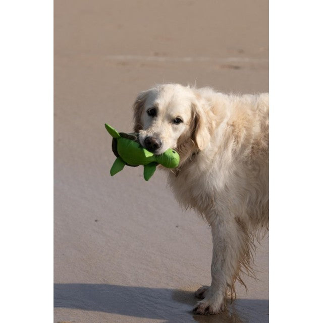 Petface turtle plush dog toy, imported from the UK