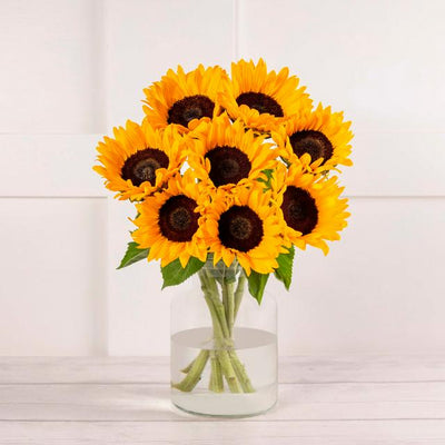 Sainsburys Sunflower Abundance- Buy online at McGrocer