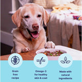 Tails Beef Wet Dog Food 150g (British brand)
