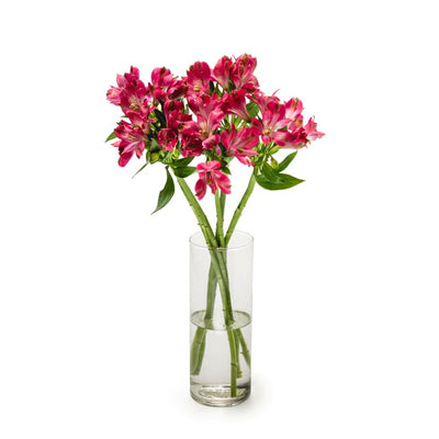 MM Flowers Cerise Alstroemeria Snittblomster 5 Stilk 40cm