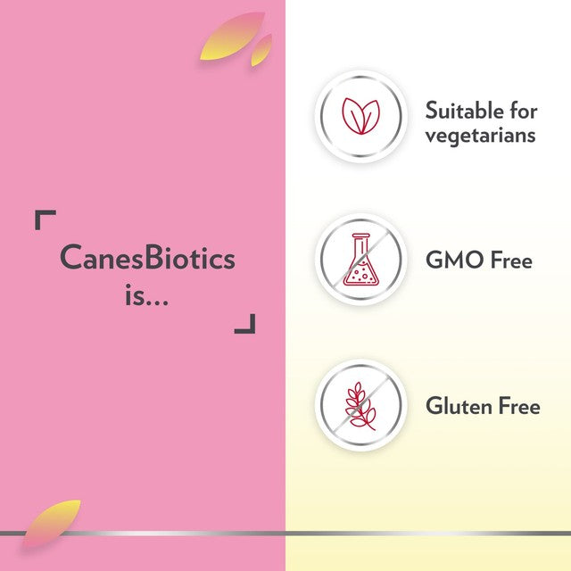 Canesten Canesbiotics oral probiotic supplement 30 capsules - British product