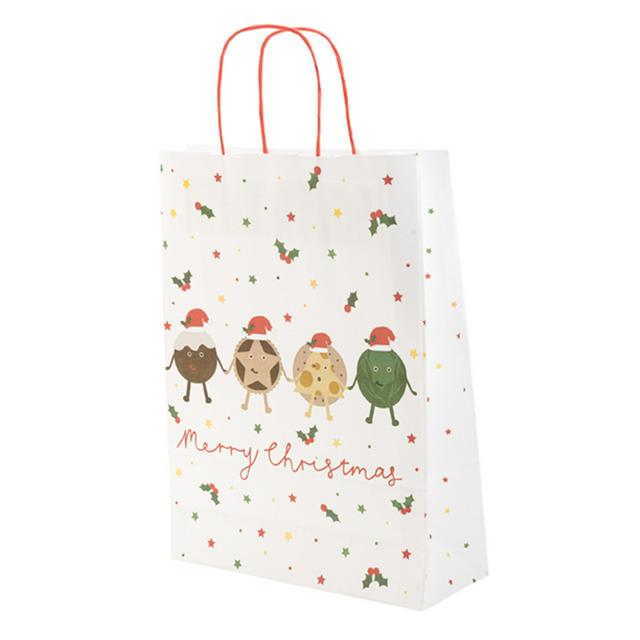 Sainsburys Home Large Bag