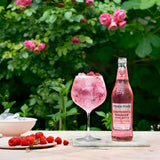 Fever-Tree Light Rhubarb & Raspberry Tonic Water 500ml - British product