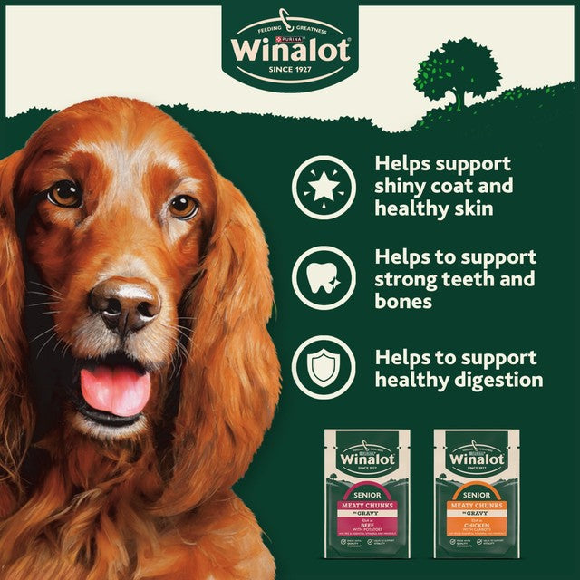 Winalot meaty chunks senior wet dog food 12x100g (British brand)