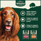 Winalot meaty chunks senior wet dog food 12x100g (British brand)