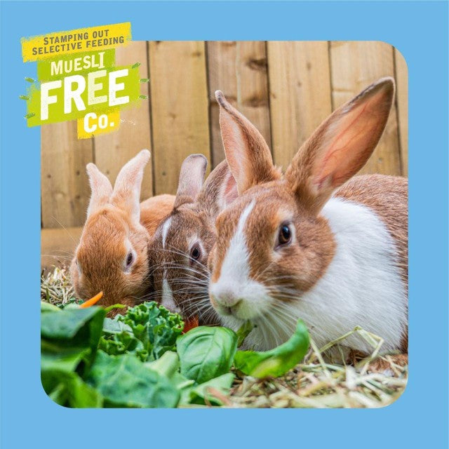 Burgess Junior and Dwarf Rabbit Food 3kg - British product
