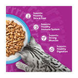 Whiskas adult wet cat food pouches fish favourites 12x85g (British brand)