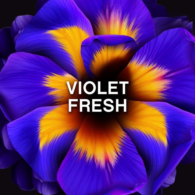 Lenor Unstoppables violet fresh scent booster 280g, imported from the UK