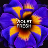 Lenor Unstoppables violet fresh scent booster 280g, imported from the UK