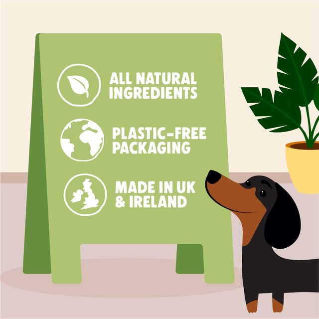 Denzel's pistachio cheesecake soft-baked dog treat bars 60g - British product