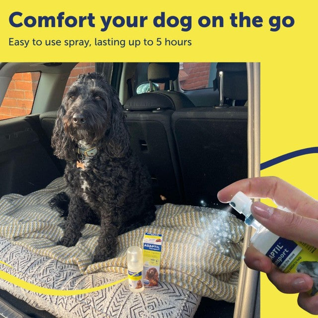 Adaptil dog calming spray 20ml (British brand)