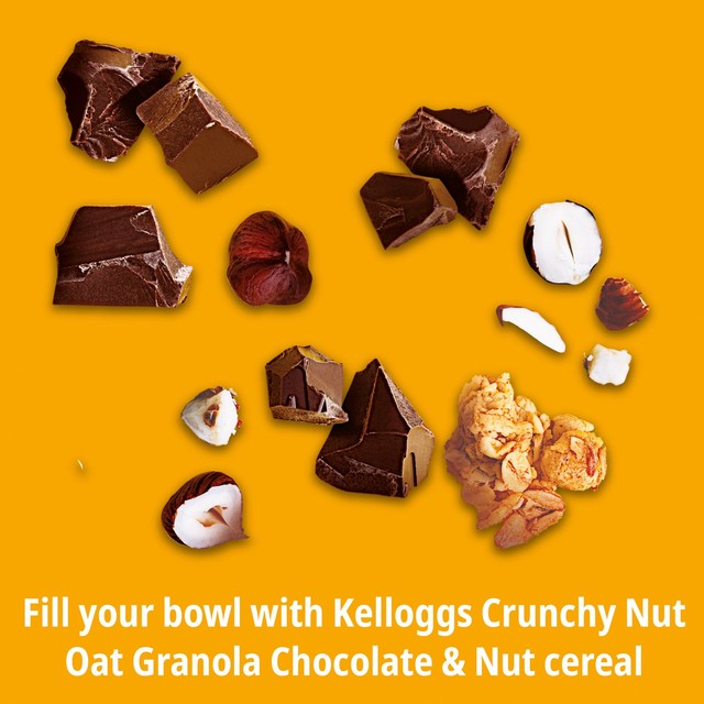 Kellogg's Crunchy Nut hazelnut and chocolate granola 600g, UK version