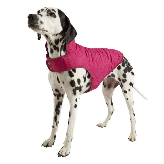 Joules raspberry quilted dog coat small, UK version