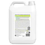 Ecover All Purpose Cleaner Lemongrass & Ginger 5L - British product