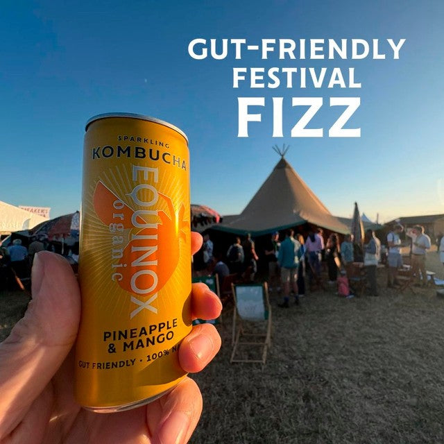Equinox organic pineapple mango kombucha can, imported from the UK