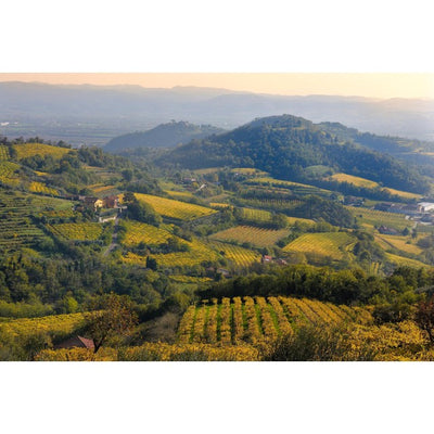 Faldeo Prosecco Rosé Schaumwein 75cl