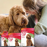 Beaphar FIPROtec spot-on flea treatment for large dogs, imported from the UK