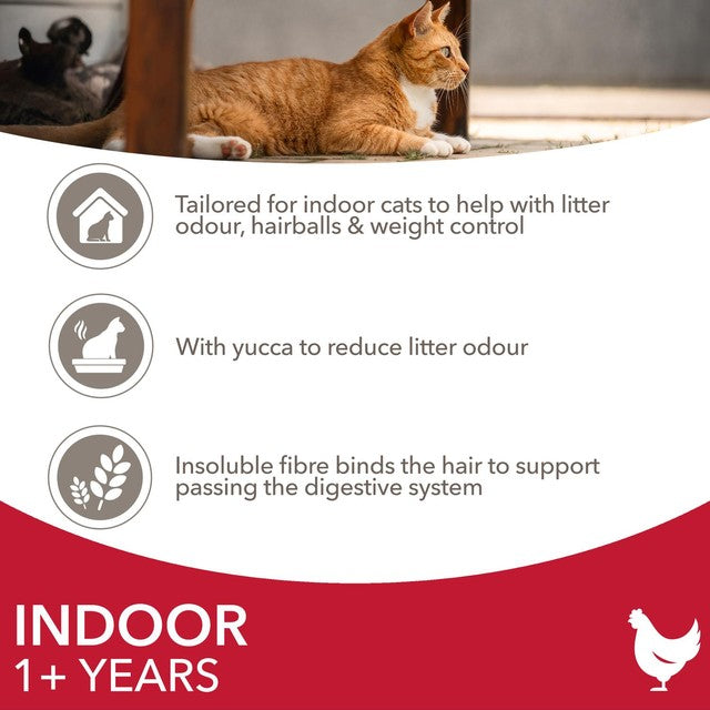 IAMS dry cat food chicken 3kg, UK version