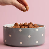 Mason Cash Polka Dot Grey Pet Bowl 18cm, imported from the UK