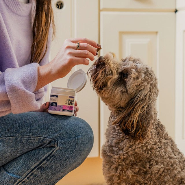 Pooch and Mutt Hemp Chewies dog calming supplement 60 chews (British brand)