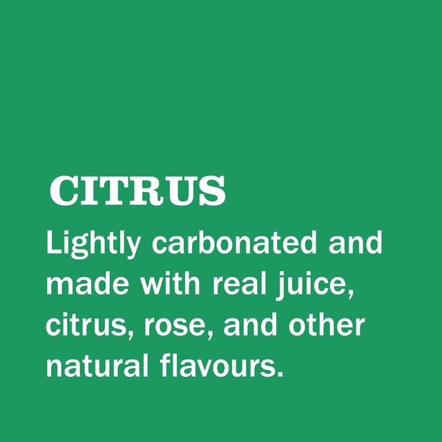 Gin & Juice citrus canned cocktail 250ml, UK version