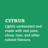 Gin & Juice citrus canned cocktail 250ml, UK version