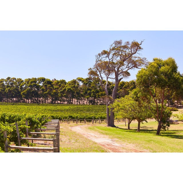Robert Oatley Signature Series Chardonnay 75cl white wine, imported from the UK