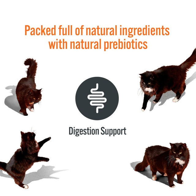 HiLife cat digestive licks treat, UK version