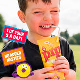Pip Organic Pineapple & Mango Kids Smoothie Cartons 4 x 180ml, imported from the UK