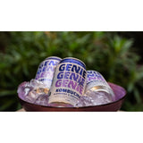 Genie Blueberry & Raspberry Kombucha 330ml, UK version