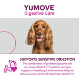 Lintbells YuMOVE dog probiotic supplement 120 tablets (British brand)