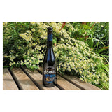 Aspall Premier Cru Cyder 6 x 500ml - British product