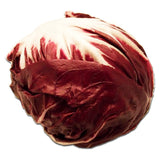 Natoora Italian Radicchio di Chioggia leafy vegetable, imported from the UK