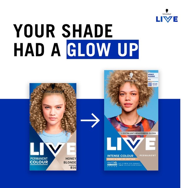 Schwarzkopf B16 Honey Blonde hair colour kit, imported from the UK