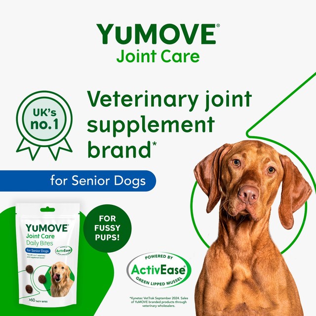 YuMOVE joint support daily bites for senior dogs, UK version