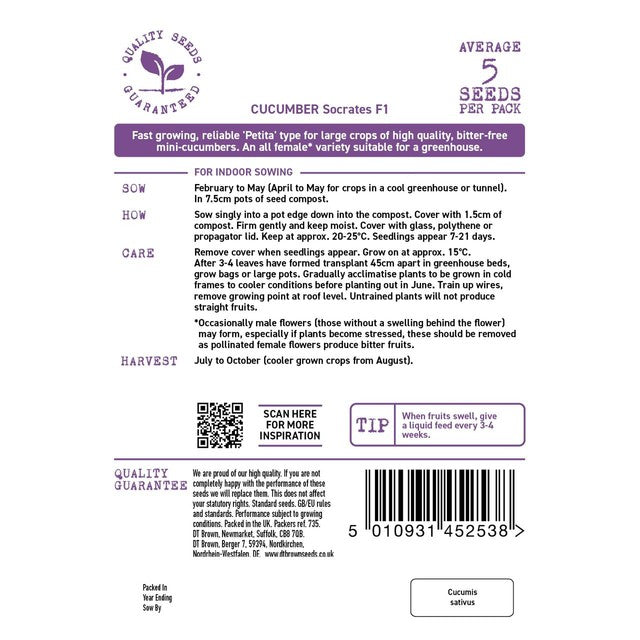 Mr Fothergills Seeds D.T. Brown Cucumber Socrates cucumber seeds 5 seeds - British product