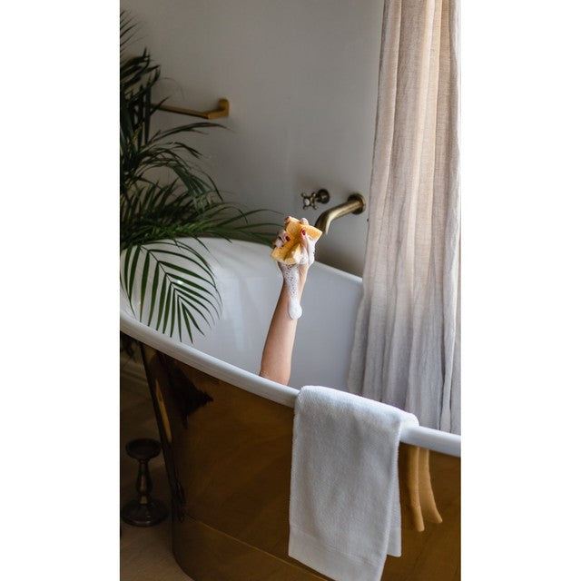 Wilton London eco plastic-free sponge twin pack (British brand)
