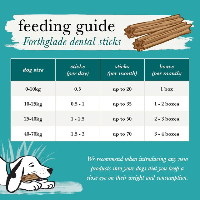 Forthglade Natural Grain-Free Plant-Based Dental Sticks 20 per pack - British product